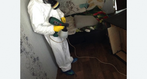 Обработка квартир от насекомых в Светогорске