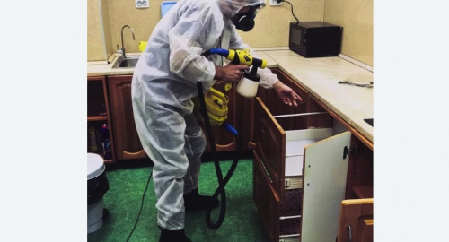 Дезинсекция квартиры. Светогорск