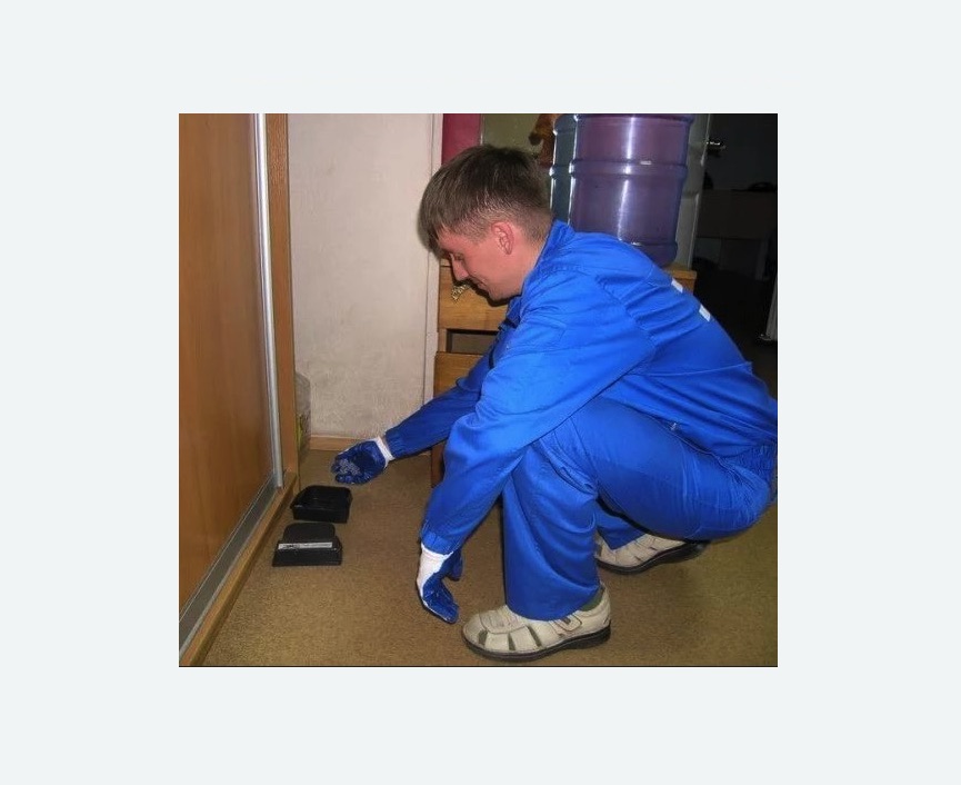 Дератизация крыс в Светогорске