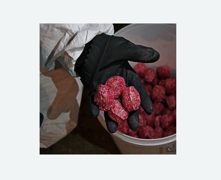 Обработка от крыс в Светогорске