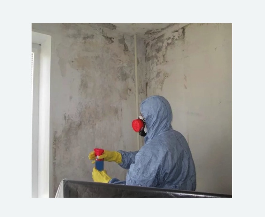 Удаление плесени в квартире в Светогорске