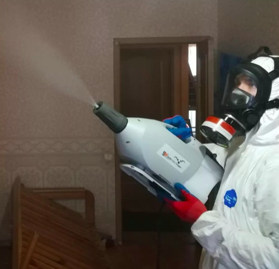 дезинсекция помещения в Светогорске
