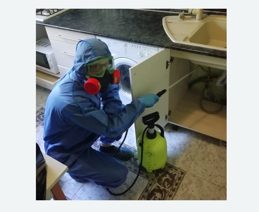 обработка от муравьев в квартире в Светогорске