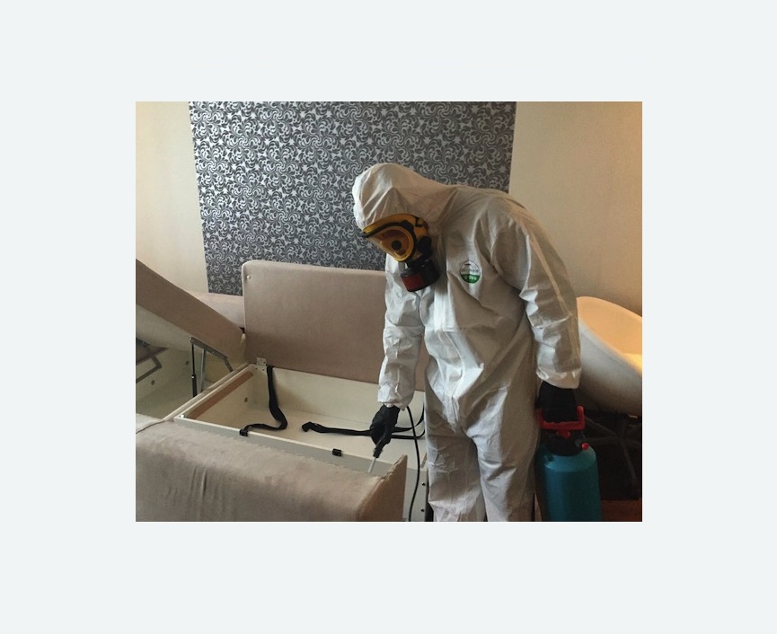 уничтожение клопов в квартире в Светогорске