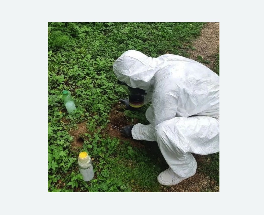 уничтожение кротов на участке в Светогорске