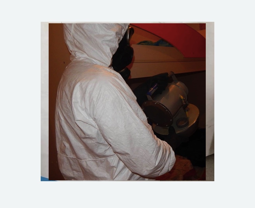 Дезинфекция от муравьев в Светогорске