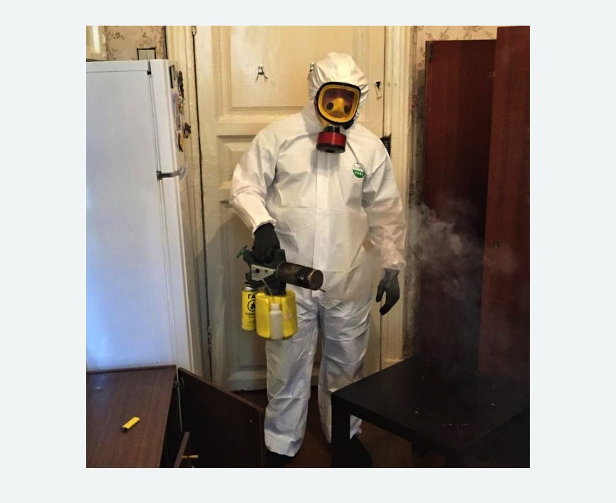 уничтожение муравьев в квартире в Светогорске